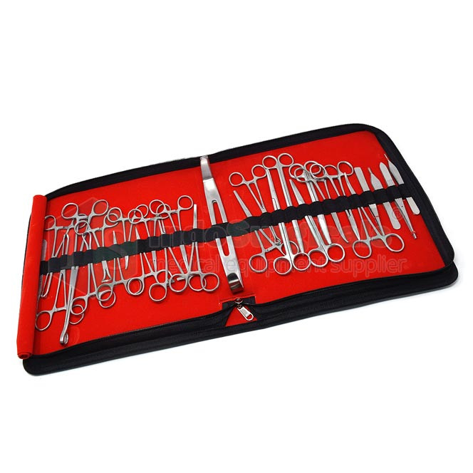 Magill Forceps Adult Stainless Steel